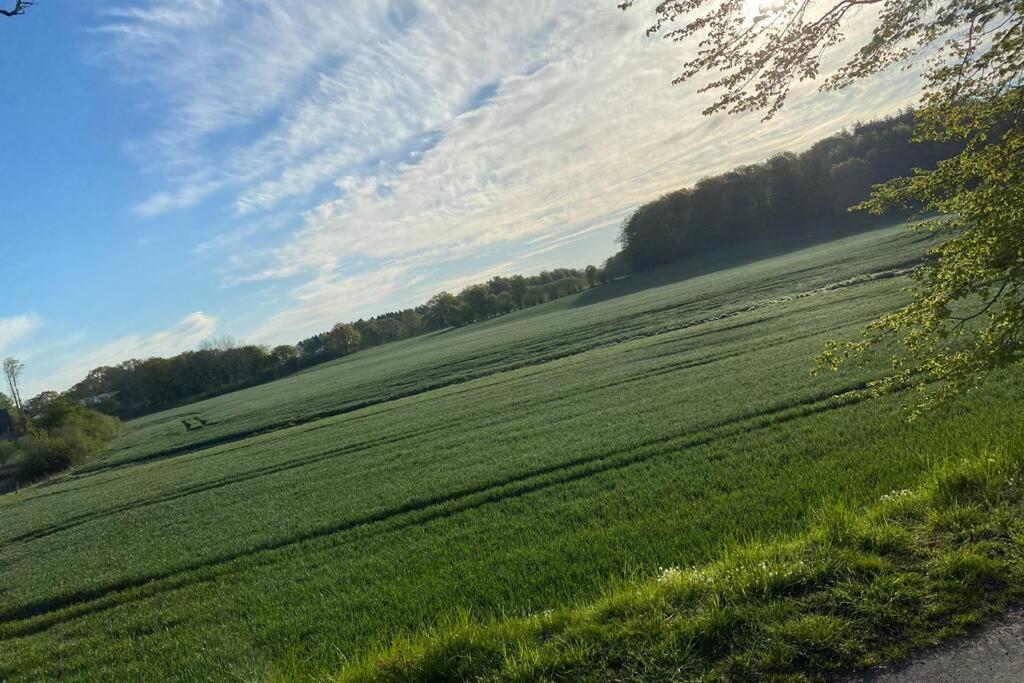 Schoene Wohnung Mit Garten Beim Outletcenter 5 Km Boostedt Buitenkant foto